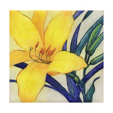 Yellow Lily Botanical