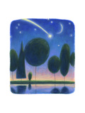 Shooting Star