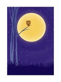 Owl on Branch with Full Moon