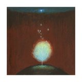 Burning Bush under Star