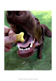 Dog Bite