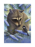 Raccoon and Chickadee in Snow