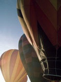 Hot Air Balloons in Warm Sunlight at a Balloon Festival