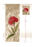 Red Chrysanthemum Stem