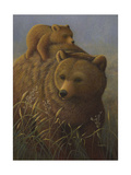 Brown Bear with Cub