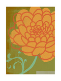 Orange Flower with Green Background