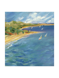 Sailboats Near the Coast