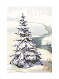Single Pine Tree in Snow