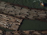 Tug Boat and Bundles of Logs to Be Moved on a River