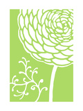 White and Green Flower