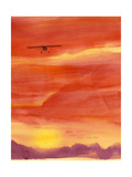 Airplane in Orange Sunset