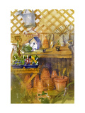 Garden Shed