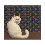 Long Haired White Cat