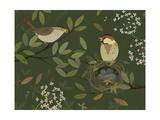 Birds Feathering Nest