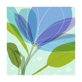 Abstract Flower