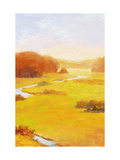 Fall Landscape with Trees