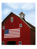 Barn Door with American Flag