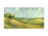Valley Landscape