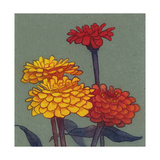 Zinnia Flower