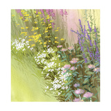 Wildflowers