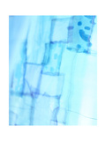 Abstract Squares on Blue Background