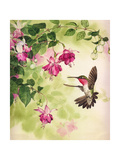 Hummingbird with Flowers
