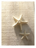 Two Starfish