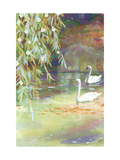 Two Swans
