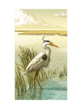 White Crane