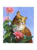 Orange Cat with Zinnia
