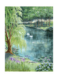 Two Swans on a Pond