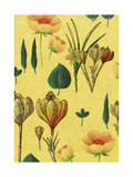 Flowers on Tan Background