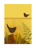 Birds in Garden with Ladybug