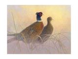 Pheasants