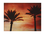 Palm Trees with Sun