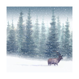 Elk in Snow