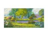 Country Lake Scene