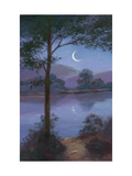 Moonlit Lake