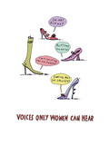 Shoe Voices