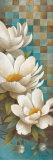 Lily Reflection I