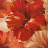Sunlit Bloom II