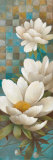 Lily Reflection II