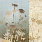 Delicate Fields II