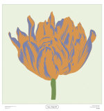 Soho Tulip III