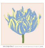 Soho Tulip Petite I