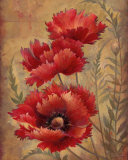 Poppy Passion II