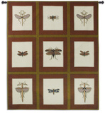 Entomological Nine Study