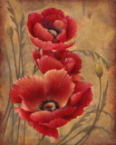 Poppy Passion I