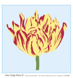 Soho Tulip Petite II