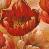 Sunlit Bloom I